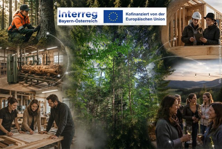 HOLZFrauenGrenzenlos