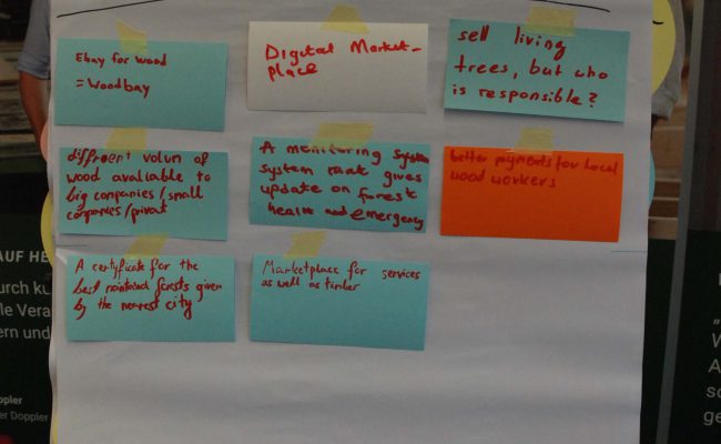 221019_europStud_heimisches_Holz (12)