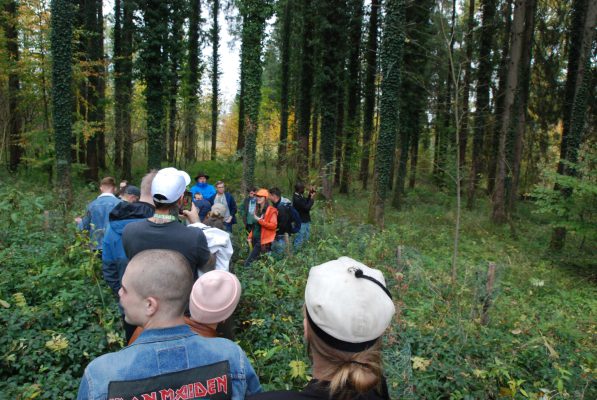 Die gezielte Entnahme von Altbäumen schafft Licht für die nächste Waldgeneration