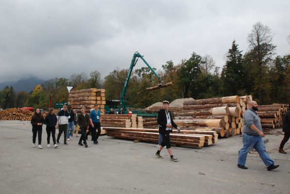 Gerade sahen die Studierenden die Bäume noch von klein bis groß und erkennen nun den richtigen Durchmesser für das Sägewerk