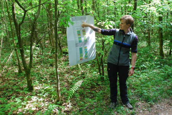 Walderlebnistag Wir bauen auf heimisches Holz e.V.