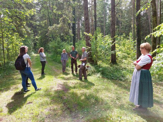 Walderlebnistag Wir bauen auf heimisches Holz e.V.