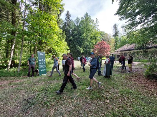 Walderlebnistag Wir bauen auf heimisches Holz e.V.