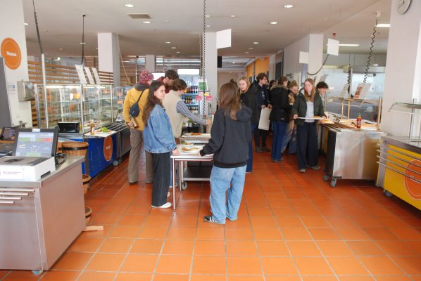 Freiwilliges Ökologisches Jahr