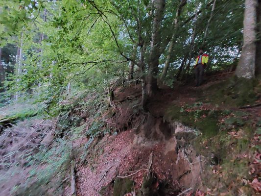 Waldrundgang mit Waldbesitzer des Jahres - Wir bauen auf heimisches Holz e.V.