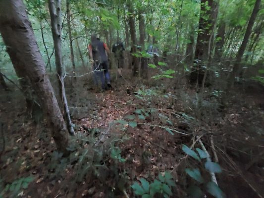 Waldrundgang mit Waldbesitzer des Jahres - Wir bauen auf heimisches Holz e.V.