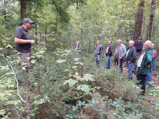 Waldrundgang mit Waldbesitzer des Jahres - Wir bauen auf heimisches Holz e.V.