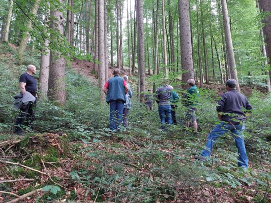 Waldrundgang mit Waldbesitzer des Jahres - Wir bauen auf heimisches Holz e.V.