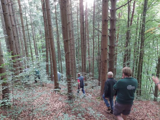 Waldrundgang mit Waldbesitzer des Jahres - Wir bauen auf heimisches Holz e.V.