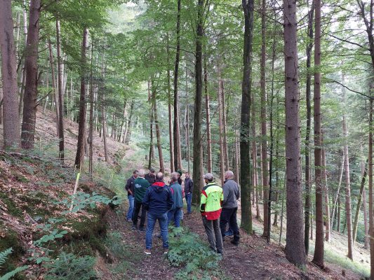 Waldrundgang mit Waldbesitzer des Jahres - Wir bauen auf heimisches Holz e.V.