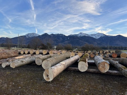 Wir bauen auf heimisches Hollz e.V. Oberbayerische Holztage